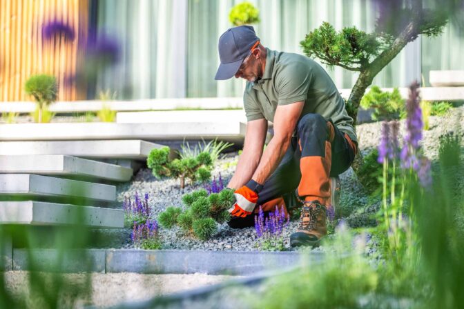 7 tips essentiels pour bien entretenir son jardin toute l’année