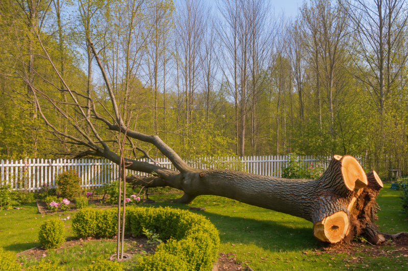 kling_20260131_Text_to_Image_genere_moi_2645_1